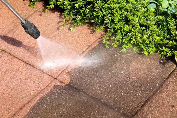 Best Power Washing Near Me  in Panther Valley, NJ