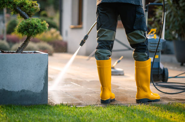 Best Pressure Washing Brick  in Panther Valley, NJ